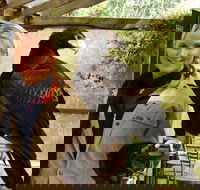 Raptor Domain - Australia Accommodation