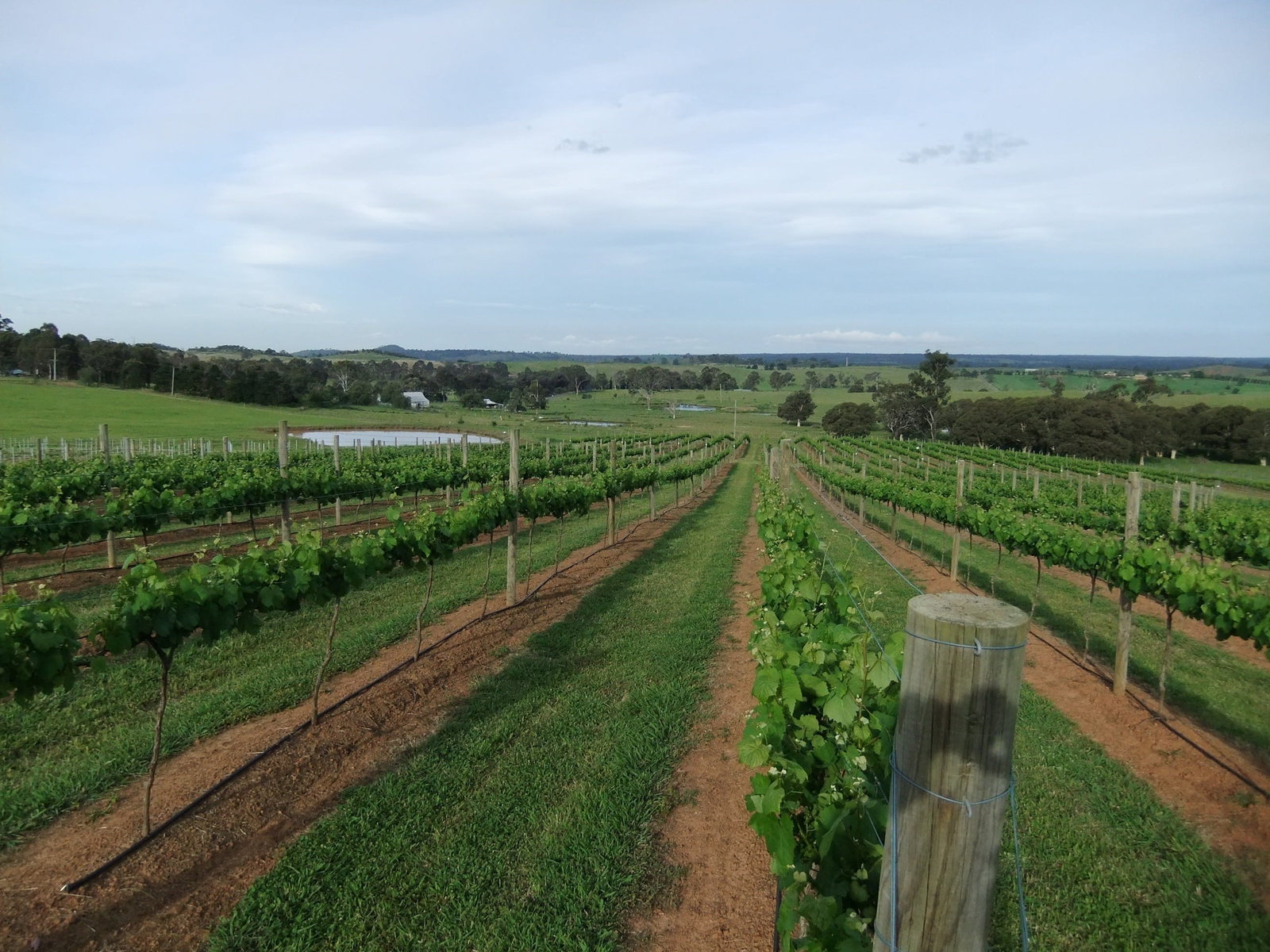 Razorback NSW Australia Accommodation