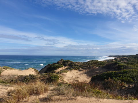 Rye Ocean Beach - Australia Accommodation 0