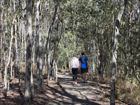 Six Mile Creek, Bluff Lookout And Little White Rock Trails - Australia Accommodation 0
