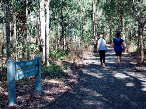 Six Mile Creek, Bluff Lookout And Little White Rock Trails - Australia Accommodation 2