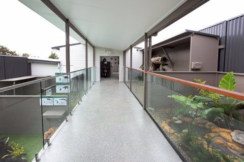 Steve McEwan's Reptile World - Australia Accommodation 2