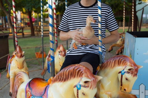 Swan Valley Cuddly Animal Farm - Australia Accommodation 2