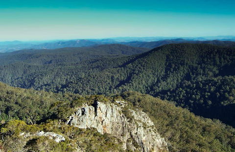 Tapin Tops National Park - Australia Accommodation 0