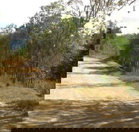 The Bloomfield Track - Australia Accommodation