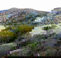 The Bellbird - Australia Accommodation