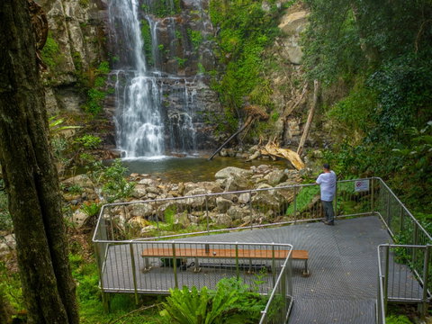 The Falls Walk, Budderoo National Park - Australia Accommodation 0