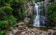 The Falls Walk, Budderoo National Park - thumb 1