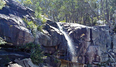 Ugly Corner Falls Walking Track - Australia Accommodation 0