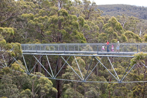 Walpole Wilderness Discovery Centre - Australia Accommodation 1