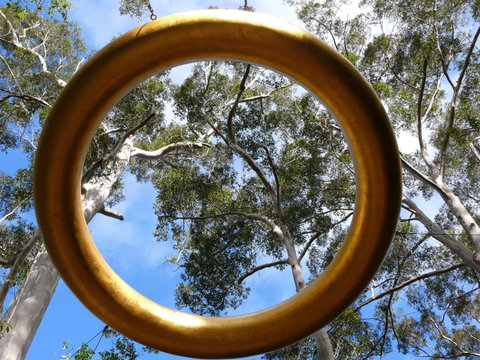 Walpole Wilderness Discovery Centre - Australia Accommodation 2