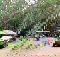 Wallingat Forest Drive - Australia Accommodation