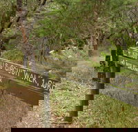 Waterfall Gully - Kings Falls Circuit Walk - Australia Accommodation