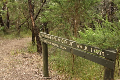 Waterfall Gully - Kings Falls Circuit Walk - Australia Accommodation 0