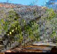 Weddin Gap to Black Spring Loop Trail - Australia Accommodation