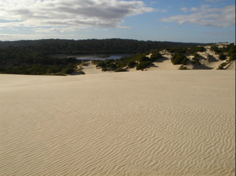 Yeagerup Sand Dunes - Australia Accommodation 0