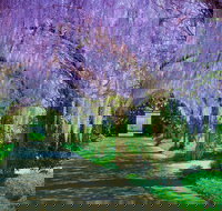 Alowyn Gardens and Nursery - Australia Accommodation