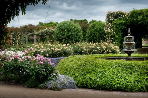 Alowyn Gardens And Nursery - Australia Accommodation 1