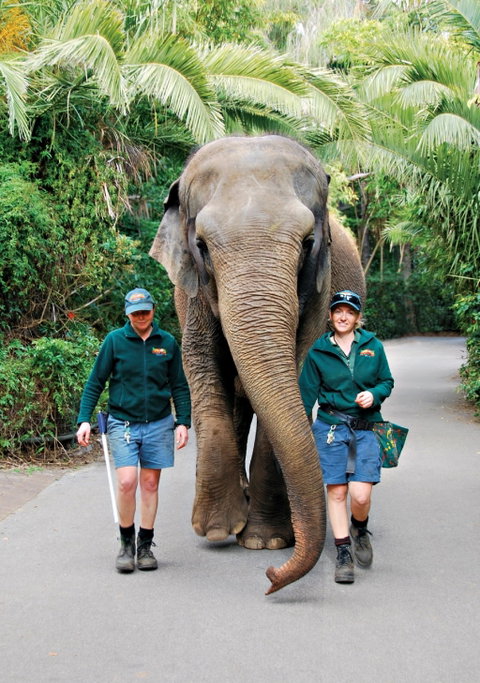 Animals And Family Fun - Australia Accommodation 2