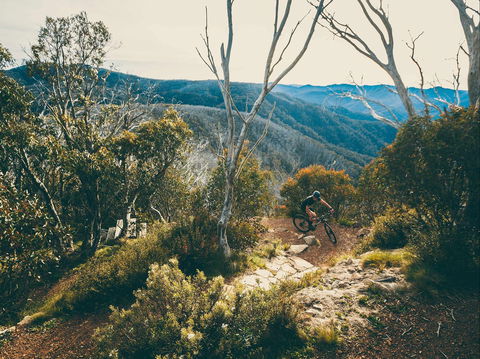 Australian Alpine Epic Mountain Bike Trail - Australia Accommodation 1