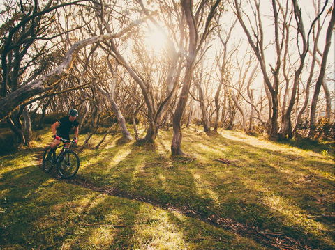 Australian Alpine Epic Mountain Bike Trail - Australia Accommodation 2