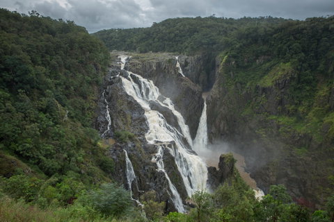 Barron Falls Lookout Track, Barron Gorge National Park - Australia Accommodation 0