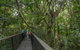 Barron Falls Lookout Track, Barron Gorge National Park - thumb 2