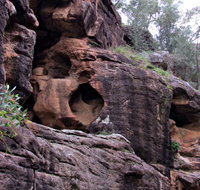 Bertha's Gully Walking Track - Australia Accommodation