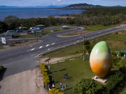 Big Mango - Australia Accommodation 1