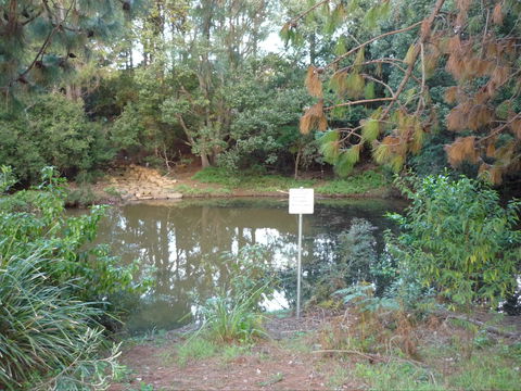 Birdwing Butterfly Walk - Australia Accommodation 0