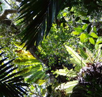 Byrrill Creek Walking Track - Australia Accommodation