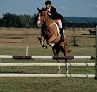 Camden Bicentennial Equestrian Park - Australia Accommodation