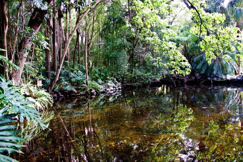 Cascade Gardens - Australia Accommodation 2