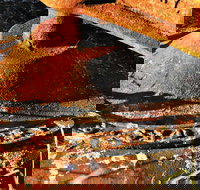 Cattai Homestead and Historic Farm Buildings - Australia Accommodation