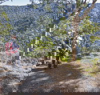 Caves circuit Lamington National Park - Australia Accommodation