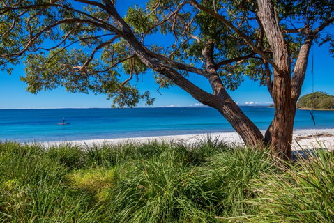 Collingwood Beach - Australia Accommodation 0