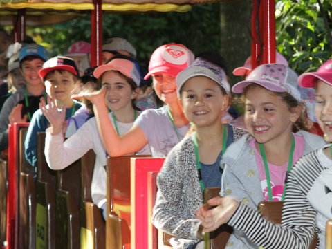 Currumbin Wildlife Sanctuary - Australia Accommodation 1