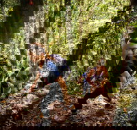 Devils Thumb Manjal Jimalji Trail - Australia Accommodation