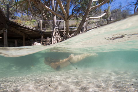 Eli Creek - Australia Accommodation 2