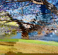 Grafton 'Bendy' Bridge - Australia Accommodation