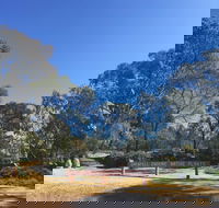 Grenfell Endemic Garden - Australia Accommodation