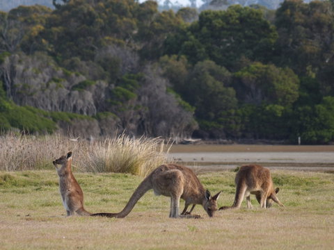 Great Nature Trail - Australia Accommodation 0