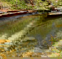 Hominy Creek Walking Track - Australia Accommodation