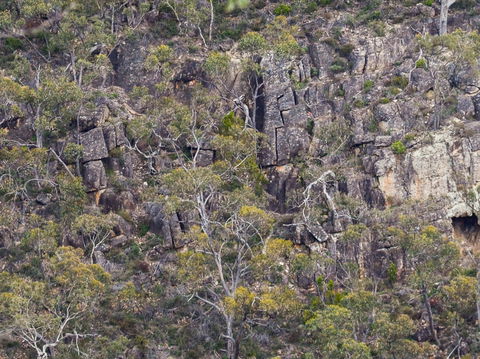 Horsnell Gully And Giles Conservation Parks - Australia Accommodation 0