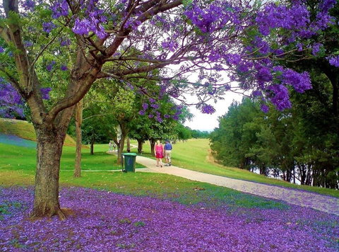 Howe Park - Australia Accommodation 0