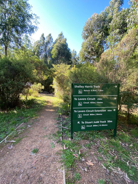 Jehosaphat Gully Picnic Area - Australia Accommodation 2