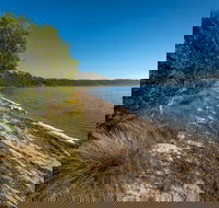 Jewfish Walk - Australia Accommodation