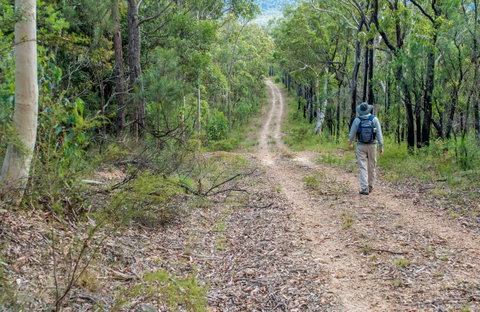 Kangaroo River Walking Track - Australia Accommodation 0