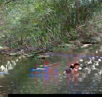 Kerewong State Forest - Australia Accommodation