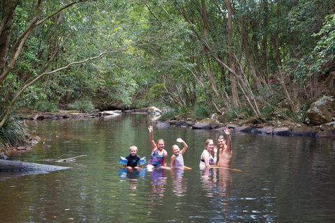 Kerewong State Forest - Australia Accommodation 0